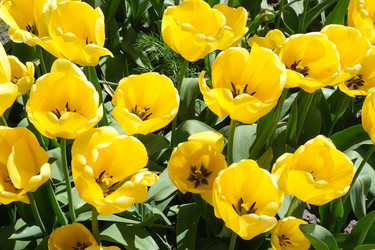 Similar image 22095933