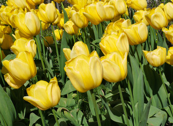 Similar image 22095935