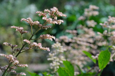 Similar image 22095936