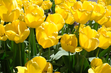 Similar image 22095937