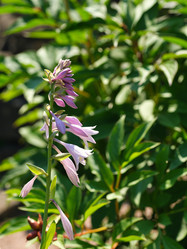 Similar image 22095938