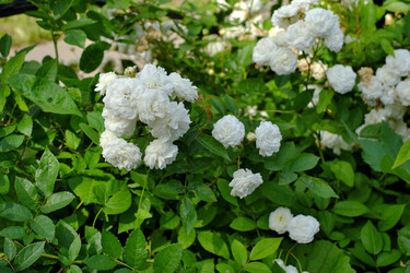 Similar image 22095939