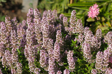 Similar image 22095940