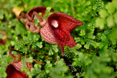 Similar image 22095941