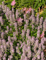 Similar image 22095942