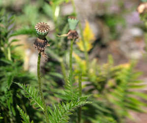 Similar image 22095944