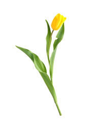 Similar image 22095945