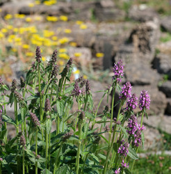 Similar image 22095946