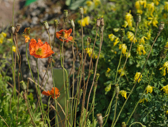 Similar image 22095948