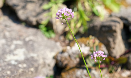 Similar image 22095950