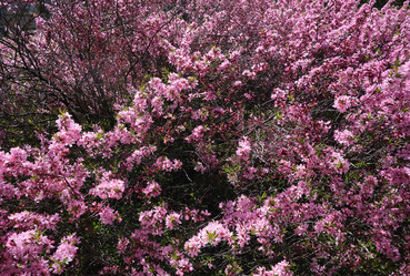 Similar image 22095951