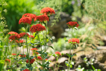 Similar image 22095952