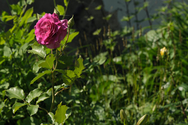 Similar image 22095954