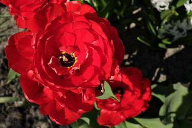 Similar image 22095955