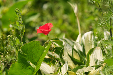 Similar image 22095956