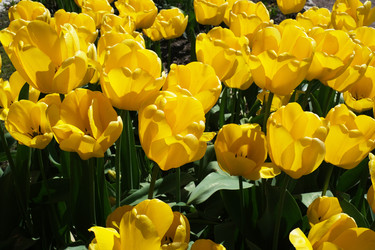 Similar image 22095957