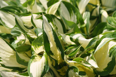 Similar image 22095958