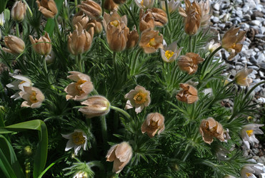 Similar image 22095959