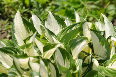 Similar image 22095960