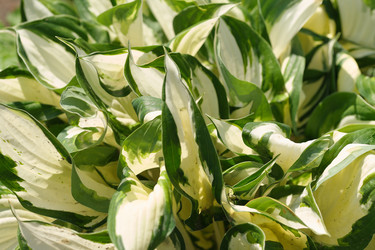 Similar image 22095962