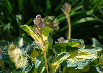 Similar image 22095964