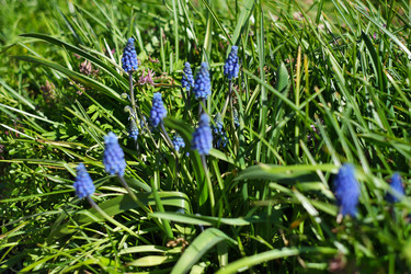 Similar image 22095965