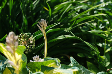 Similar image 22095966