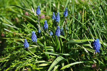 Similar image 22095967