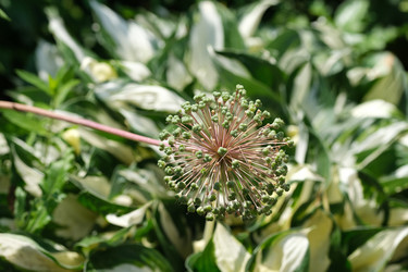 Similar image 22095968