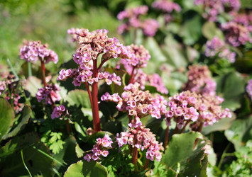 Similar image 22095969