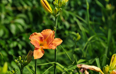 Similar image 22095972