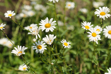 Similar image 22095973