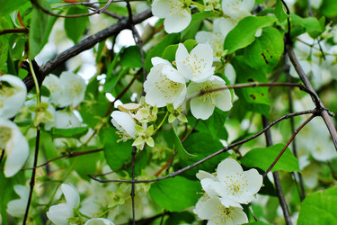 Similar image 22095974