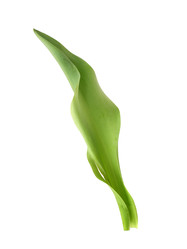 Similar image 22095975