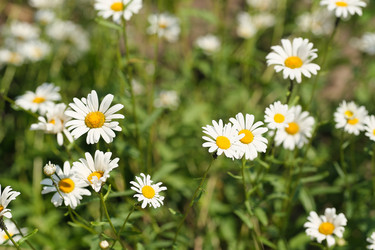 Similar image 22095976