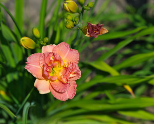 Similar image 22095978