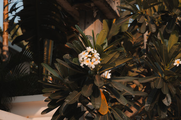 Similar image 22099826