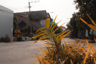 Similar image 22099994