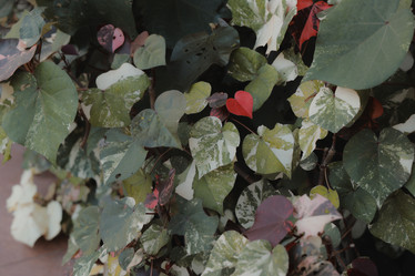 Similar image 22100008