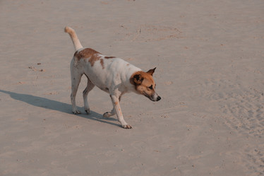 Similar image 22100011