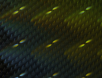 Similar image 22100394