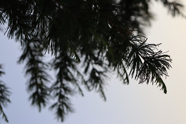 Similar image 22097638