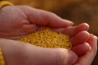 Similar image 22095697