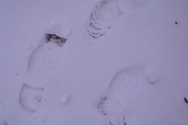 Similar image 22095698