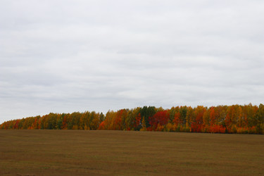 Similar image 22097671