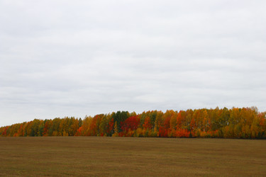 Similar image 22097672