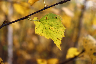 Similar image 22097673