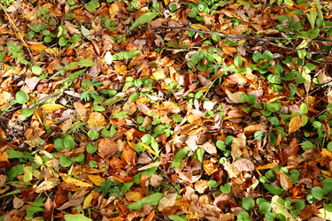 Similar image 22097674