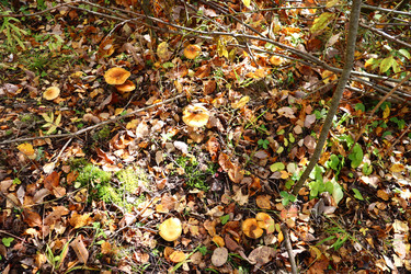 Similar image 22097675