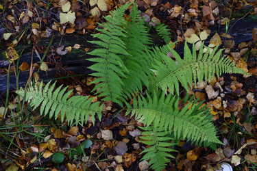 Similar image 22097676